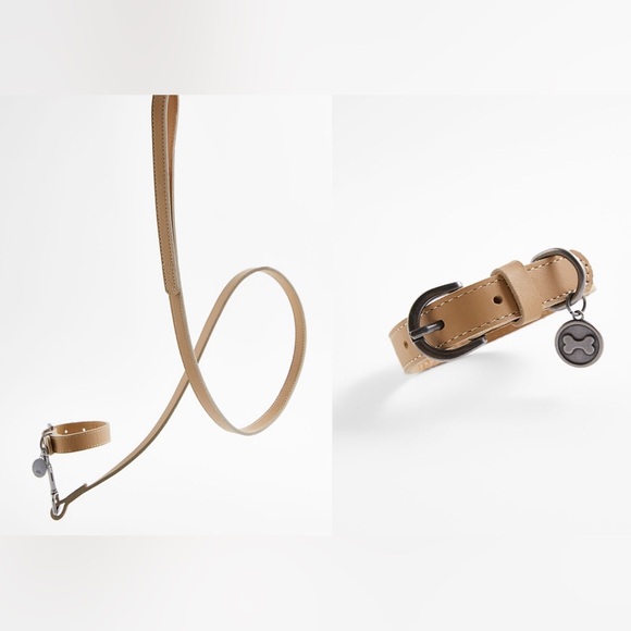 Zara Home Small Dog / Cat Leather Collar & Leash Set - Picture 2 of 7